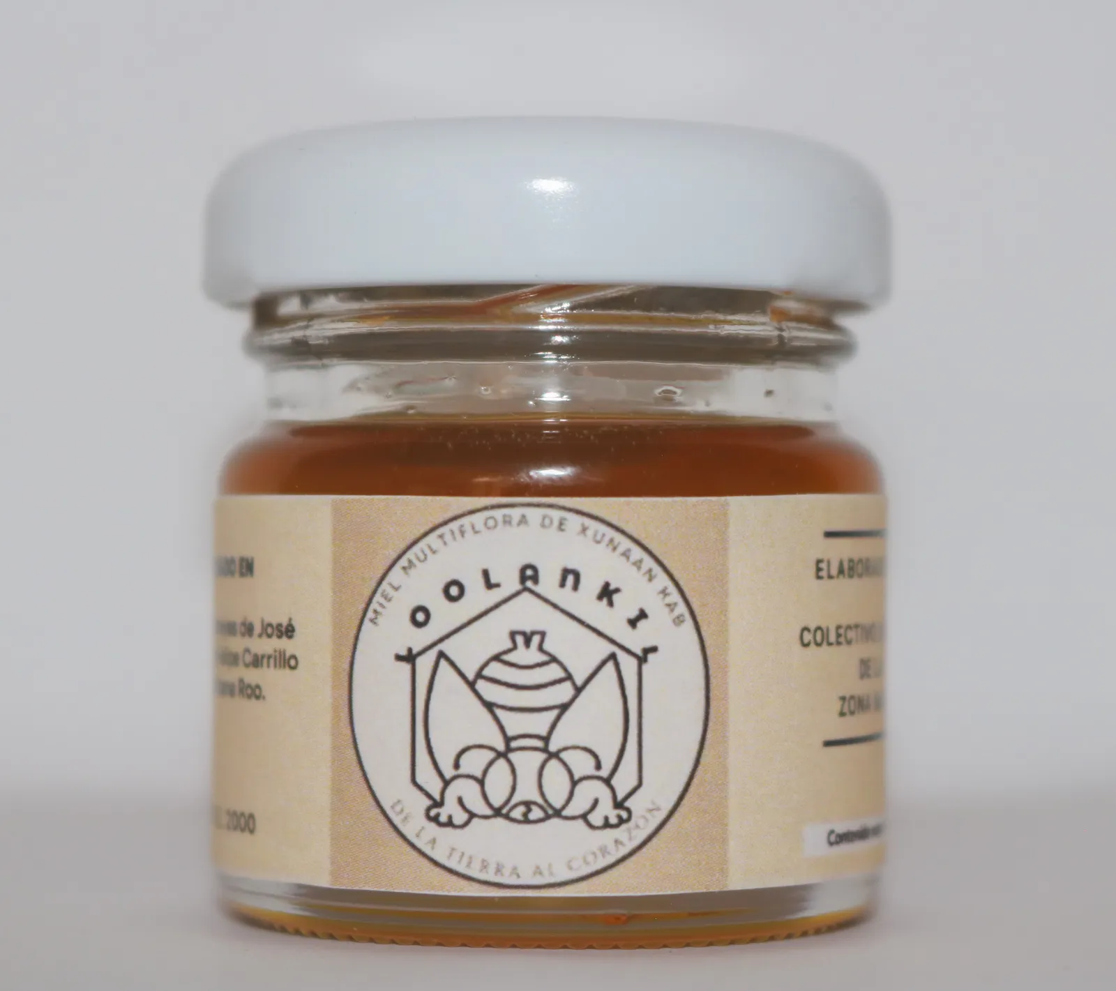Miel melipona x17ml